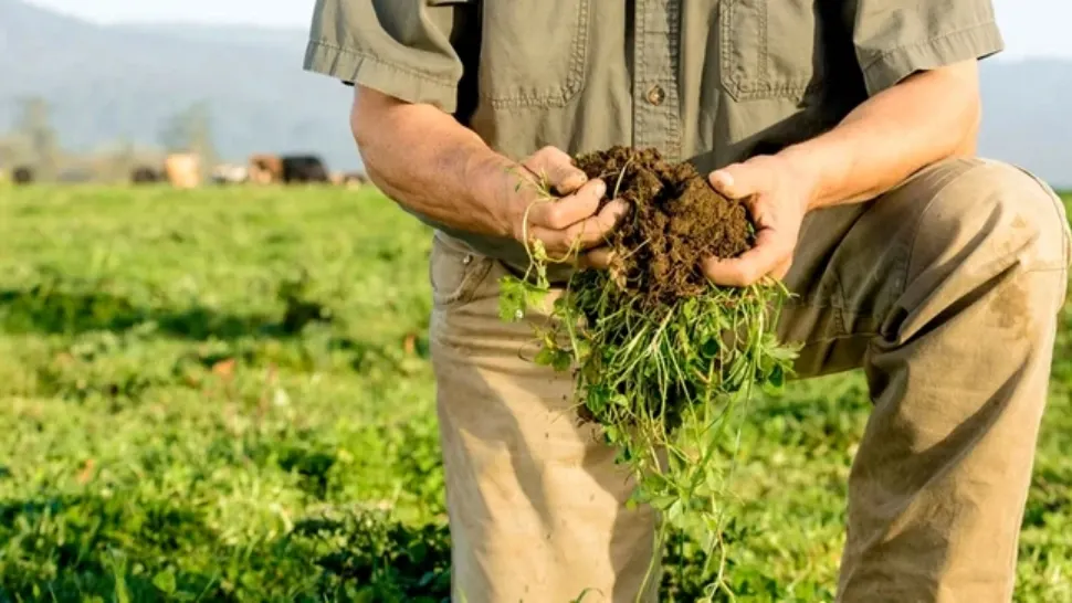 Ultimatum dat liderilor politici de reprezentanții mediului agricol, reuniți la Neptun: Învestirea unui guvern stabil în 20 de zile sau alegeri anticipate