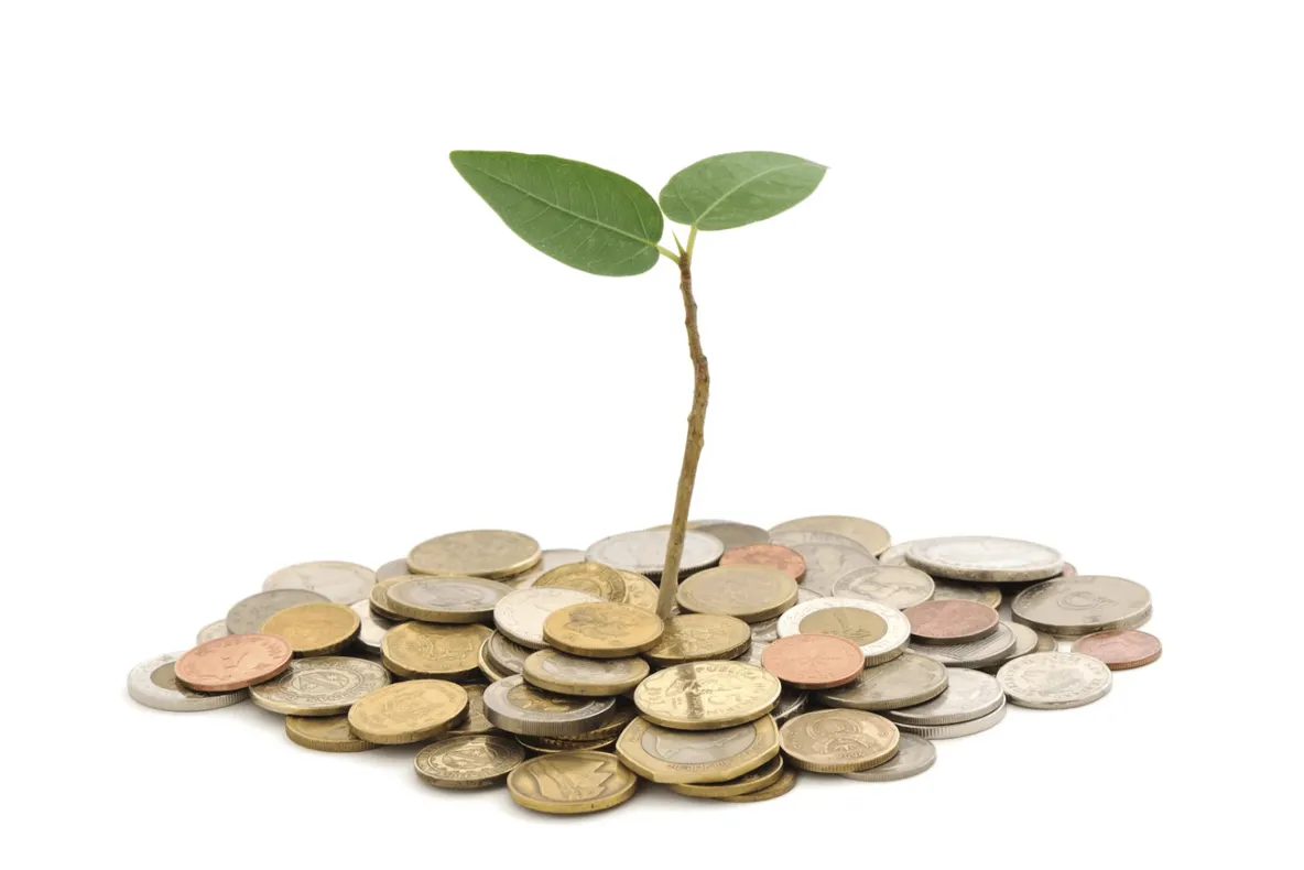 Impozit zero pentru fondurile de acțiuni care dețin mai mult de 2 ani titlurile companiilor listate