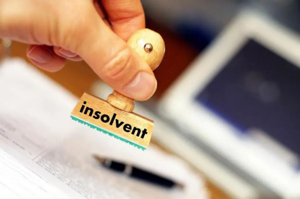 Insolvențele în țările din Europa Centrală și de Est (ECE)
