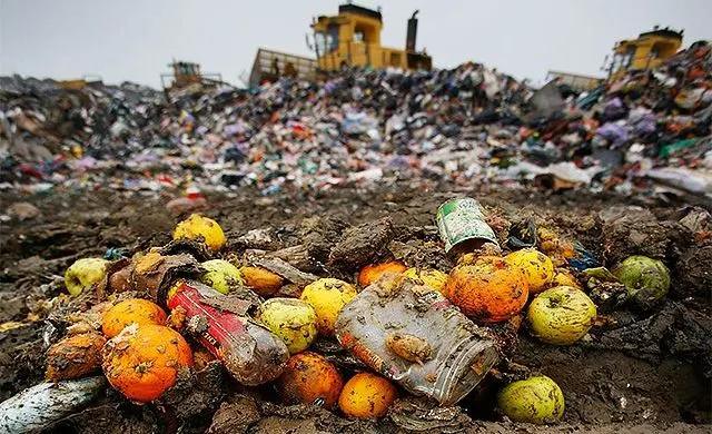 29 septembrie, Ziua internaţională de conştientizare a risipei alimentare. România e pe locul 9 în UE