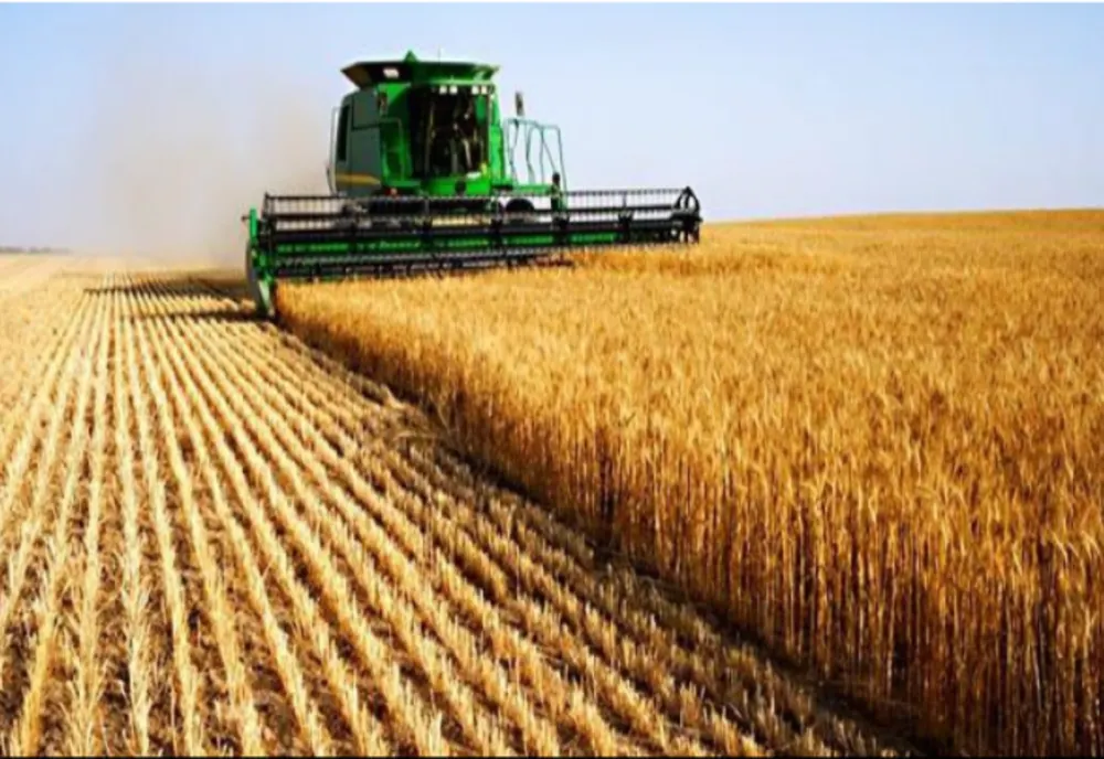 Prețurile terenurilor agricole din România au crescut între 25 şi 40% în ultimul deceniu. Unde au fost cele mai mari scumpiri - ANALIZĂ 