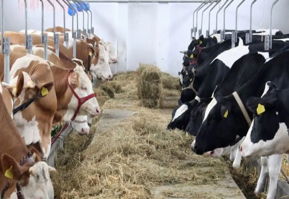 Fermierii au ieșit degeaba pe străzi. Ar putea fi introdusă taxa pe carbon în agricultură