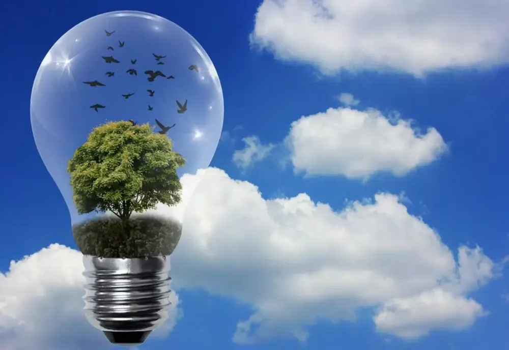 Dan-Dragoş Drăgan (Ministerul Energiei): România susţine neutralitatea de carbon până în 2050