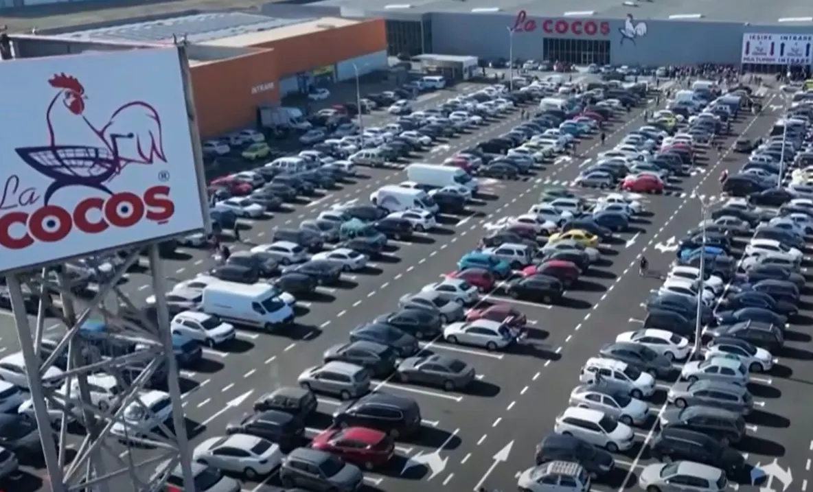 Investigație Consiliul Concurenței: De ce tranzacția La Cocoș (Schwarz) ar putea afecta furnizorii și consumatorii