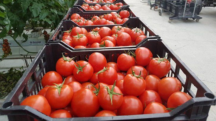 Blocatul drum al legumei românești către hypermarket