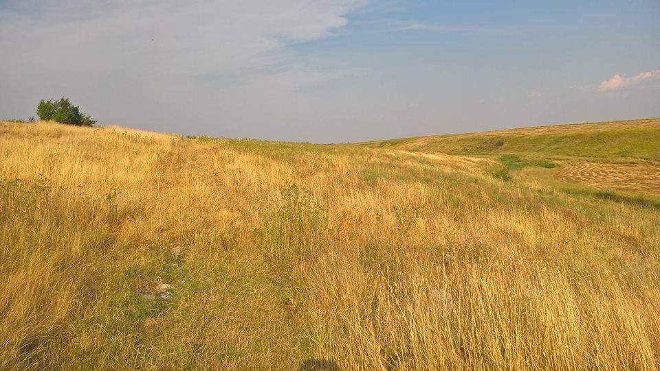 Bănățenii și oltenii, cei mai mari vânzători de pământuri dintre români