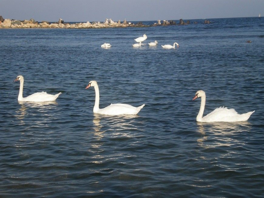 Destinația externă preferată de turiștii români. Nu e Grecia