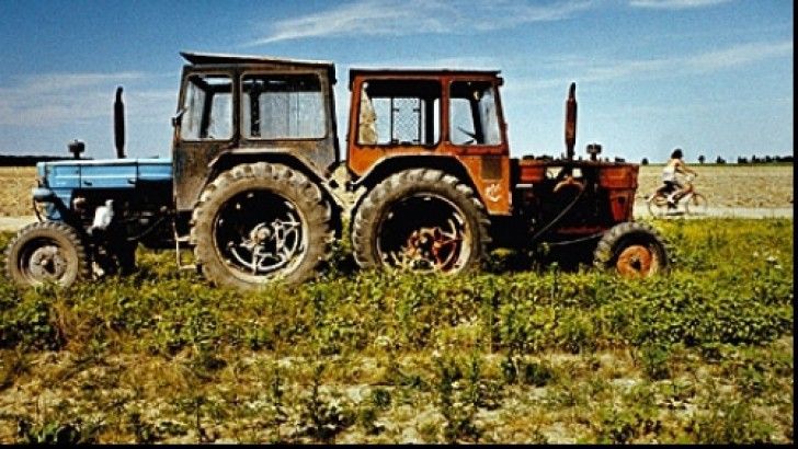 De ce tinerii fermieri nu prind ”rădăcini” în agricultura României