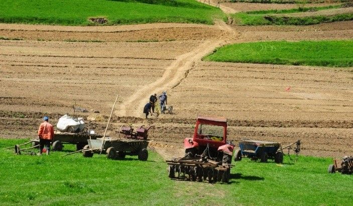 Cum se mișcă fondurile europene: Suprafețe mai mari, fermieri mai puțini
