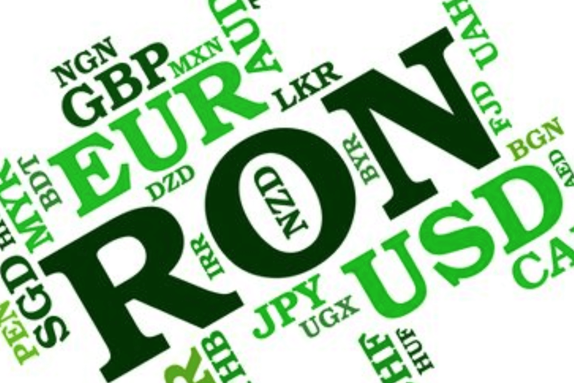 Leul, insensibil la criza din Turcia care a afectat Euro și monedele emergente