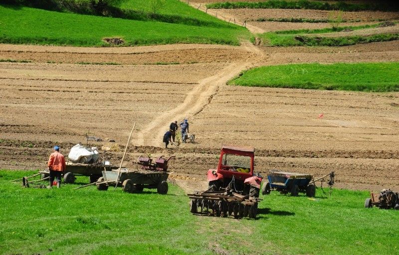 Guvernul majorează fondurile pentru Agenția de Plăți în Agricultură