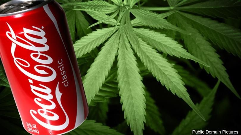 Coca Cola cu cannabis, proiect al îmbuteliatorului de soft drink