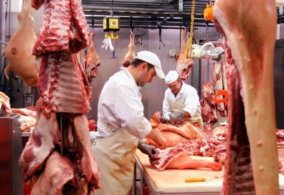 Pesta porcină africană îngroașă rândurile șomerilor