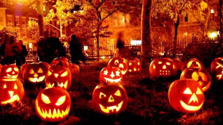 Halloween: România, printre marii producători de dovleac din UE