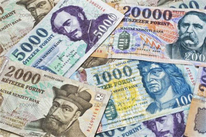 Ungaria pregătește conversia creditelor ipotecare. Din dobândă variabilă, în dobânzi fixe