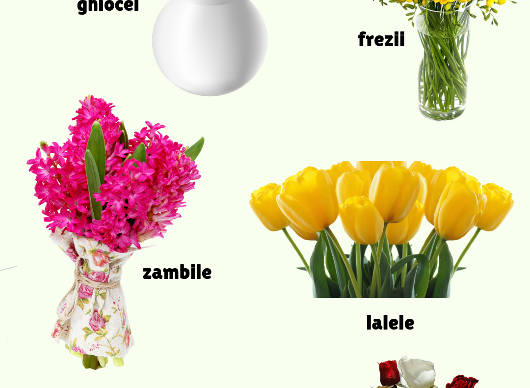 Ziua Femeii aduce vârful de vânzări în piața afacerilor cu flori. Un business de peste 300 milioane de lei