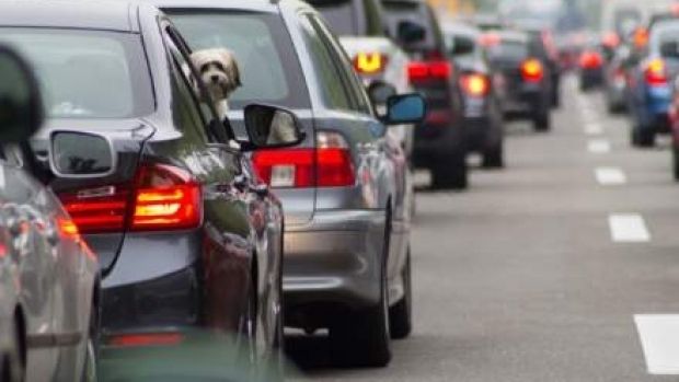 Veste bună pentru șoferi. Guvernul a aprobat banii pentru taxa auto