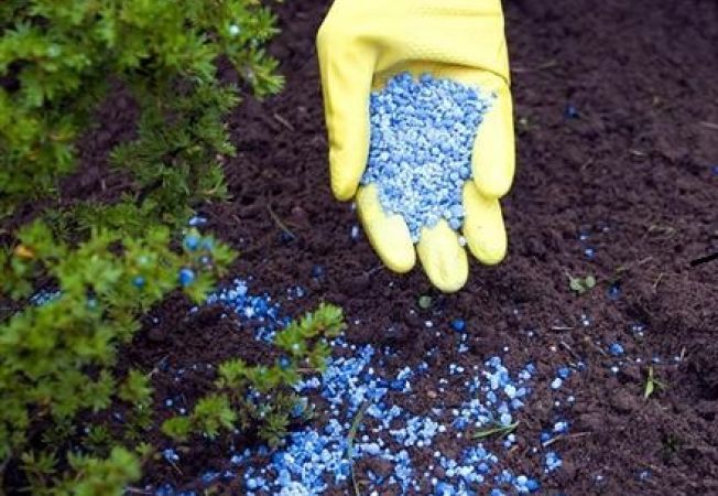 Producătorii de îngrășăminte chimice solicită ajutor de stat pentru achiziția de gaze naturale