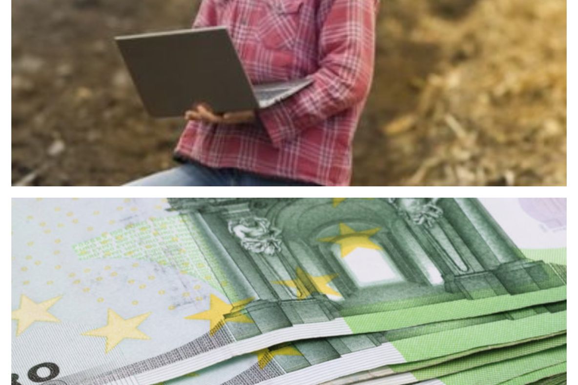 S-a dat liber la ajutoare pentru schema „Silvo-mediu și climă”