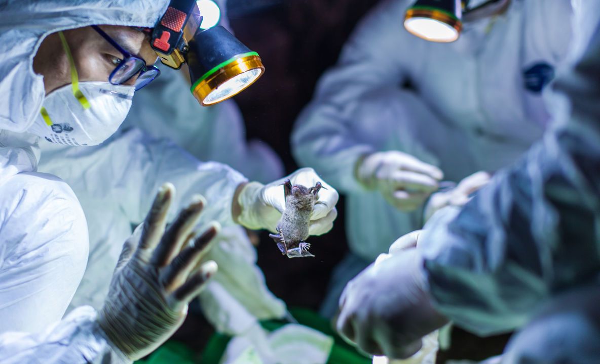 Psihoza coronavirus - Austria a suspendat serviciile feroviare cu Italia prin trecătoarea Brenner