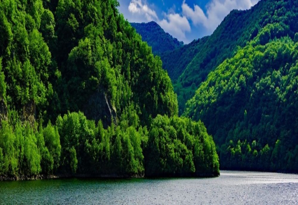 Organizațiile de mediu avertizează: Parlamentul e pe punctul de a vota o inițiată antieuropeană privind extinderea zonelor protejate