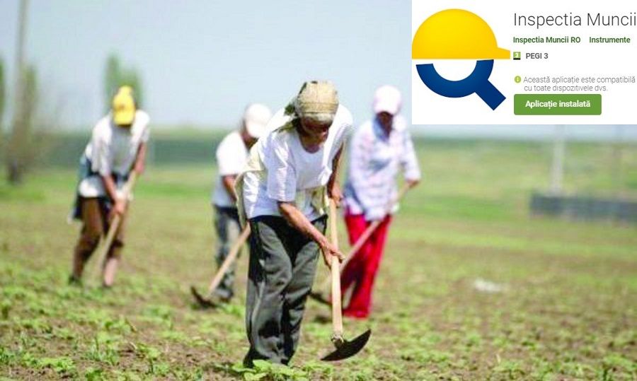 De sămbătă intră în vigoare registrul electronic pentru zilieri și sezonieri