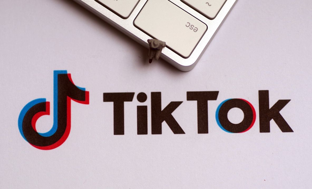 TikTok, audiat la Parlamentul European în contextul alegerilor din Europa, inclusiv România. Manipularea informației, sub lupa europarlamentarilor