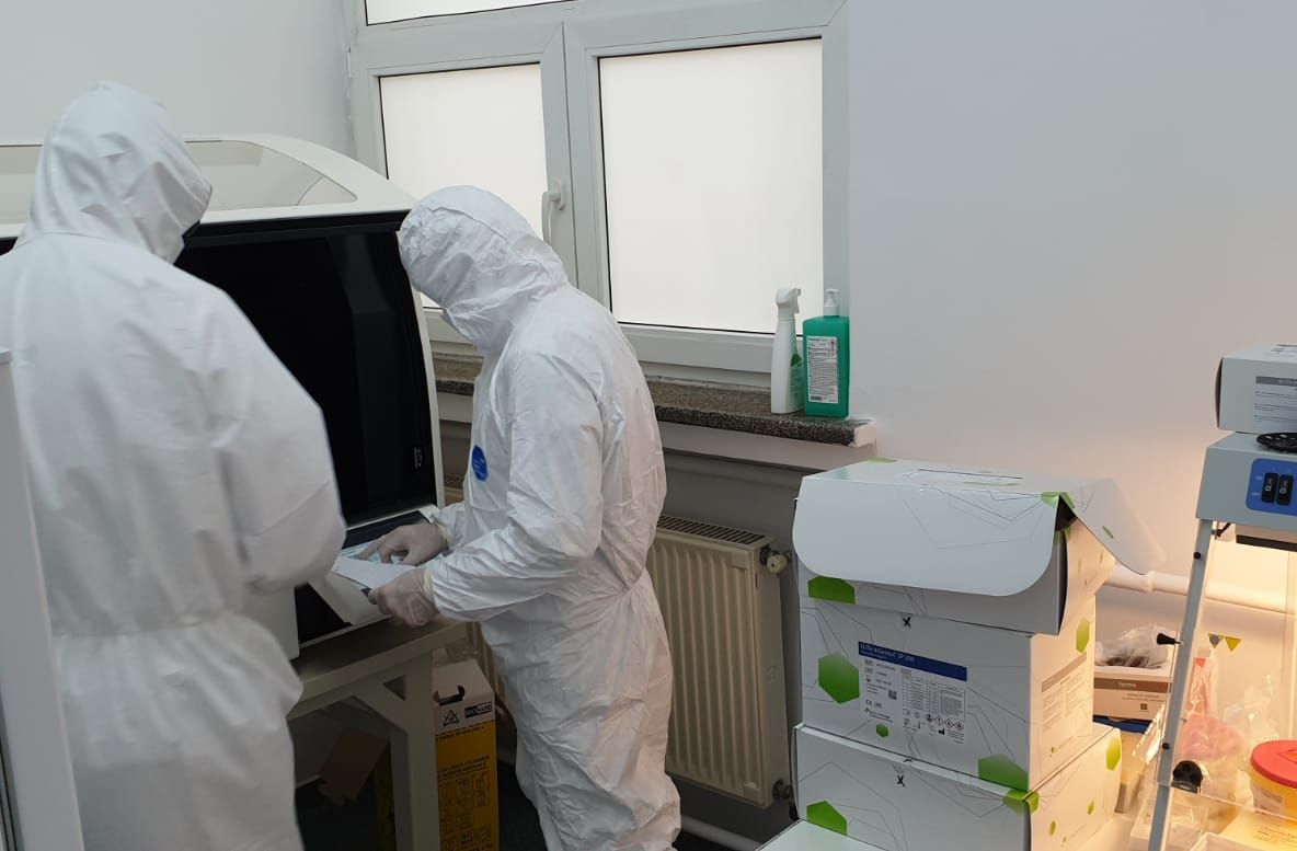 Afaceri în pandemie. Cât costă testele Covid comercializate în România și cum au evoluat prețurile