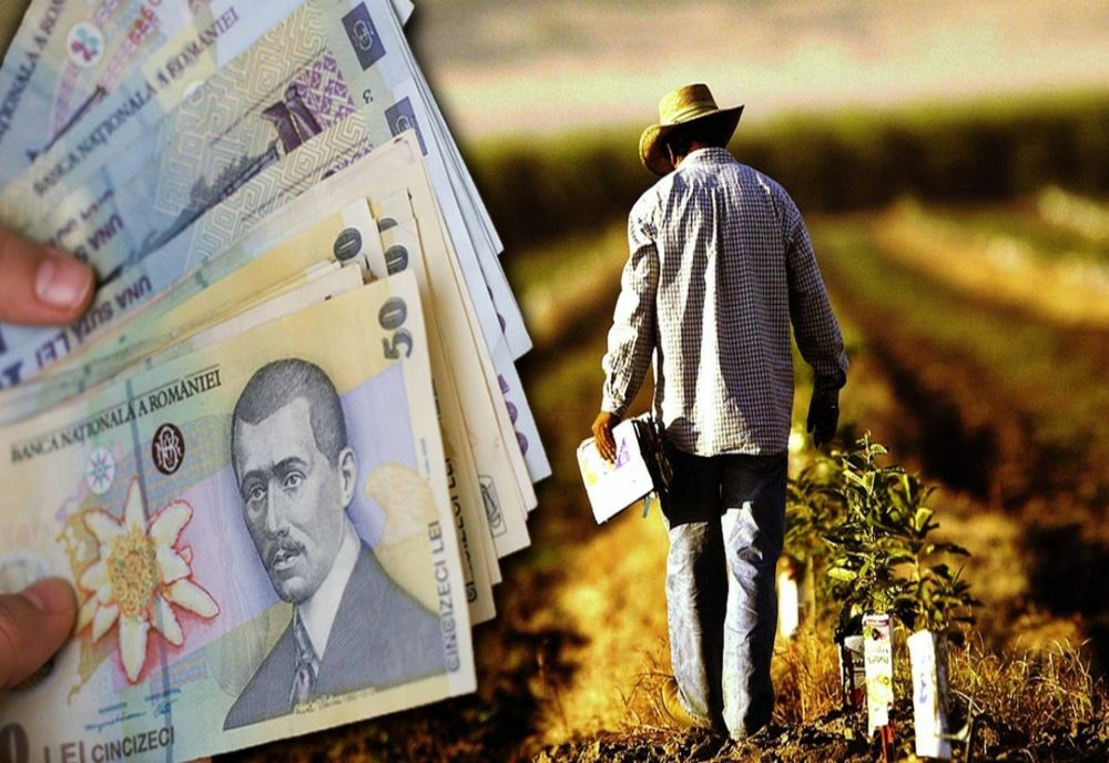 Ministerul Muncii: Persoanele fizice pot angaja şi plăti legal personal pentru activităţi casnice