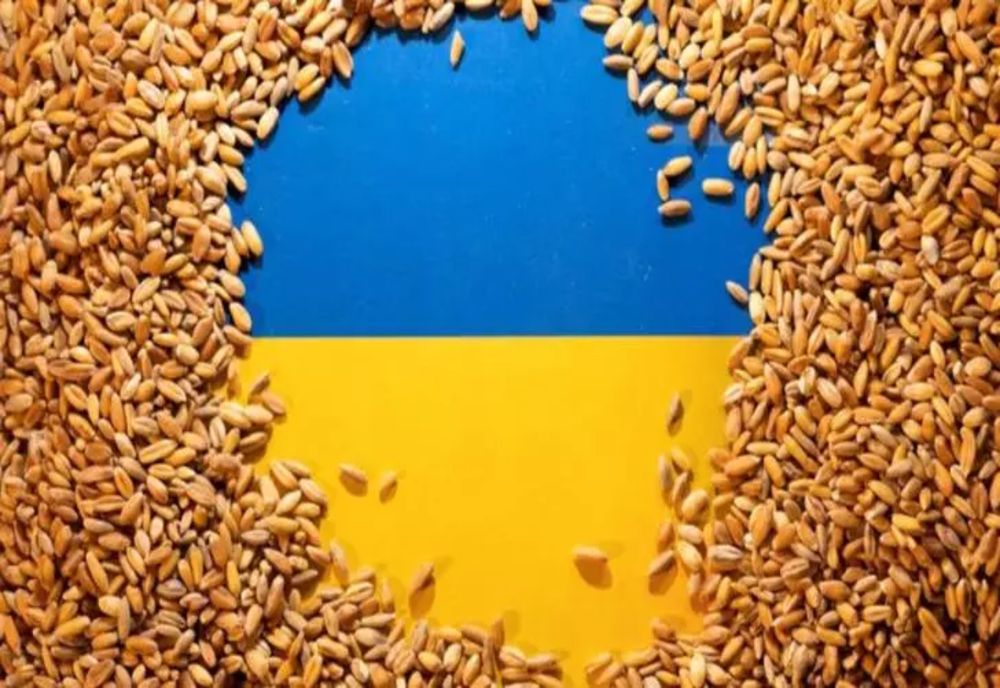 Liderii politici cer Comisiei Europene interzicerea importurilor agricole din Ucraina. UE, plan împotriva cerealelor care i-au nenorocit pe fermierii români