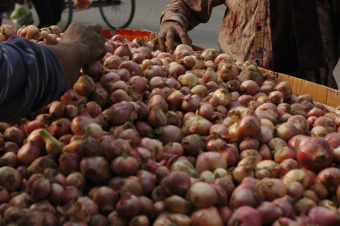 După ulei și carne de pui, România importă și ceapă din Ucraina. Cum s-a ajuns în această situație?