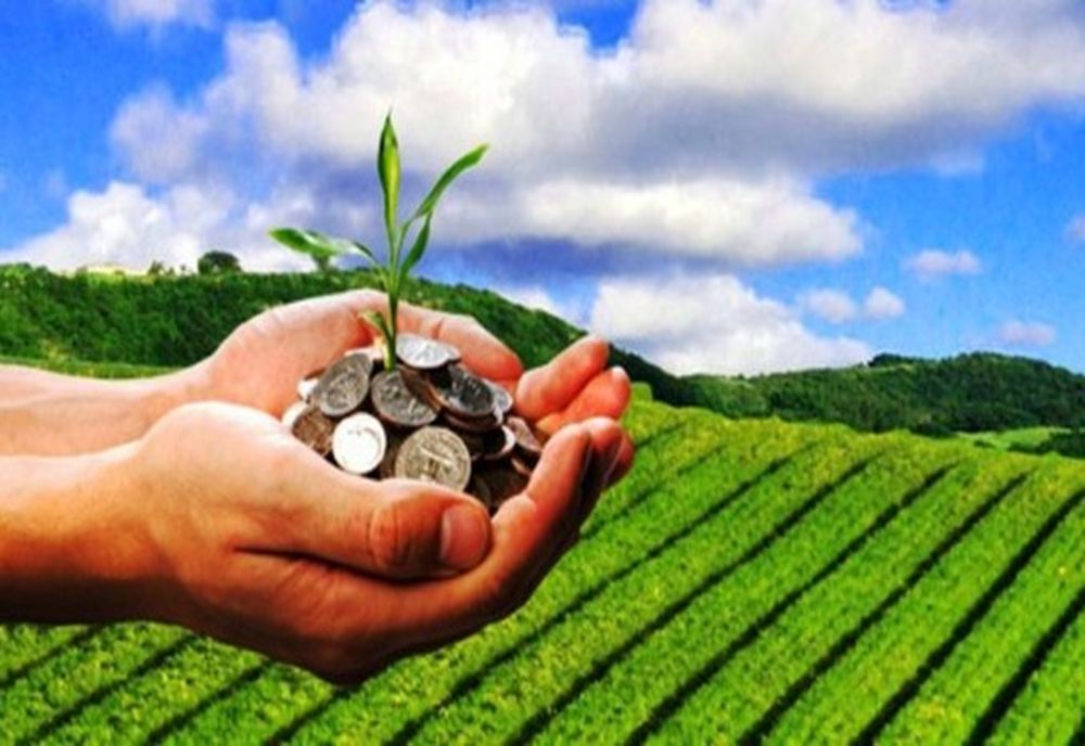 Agenţia pentru Finanţarea Investiţiilor Rurale a plătit fonduri nerambursabile de 1,5 miliarde de lei către fermieri, pentru decontarea cererilor de plată aferente proiectelor de investiţii în agricultură şi dezvoltare rurală