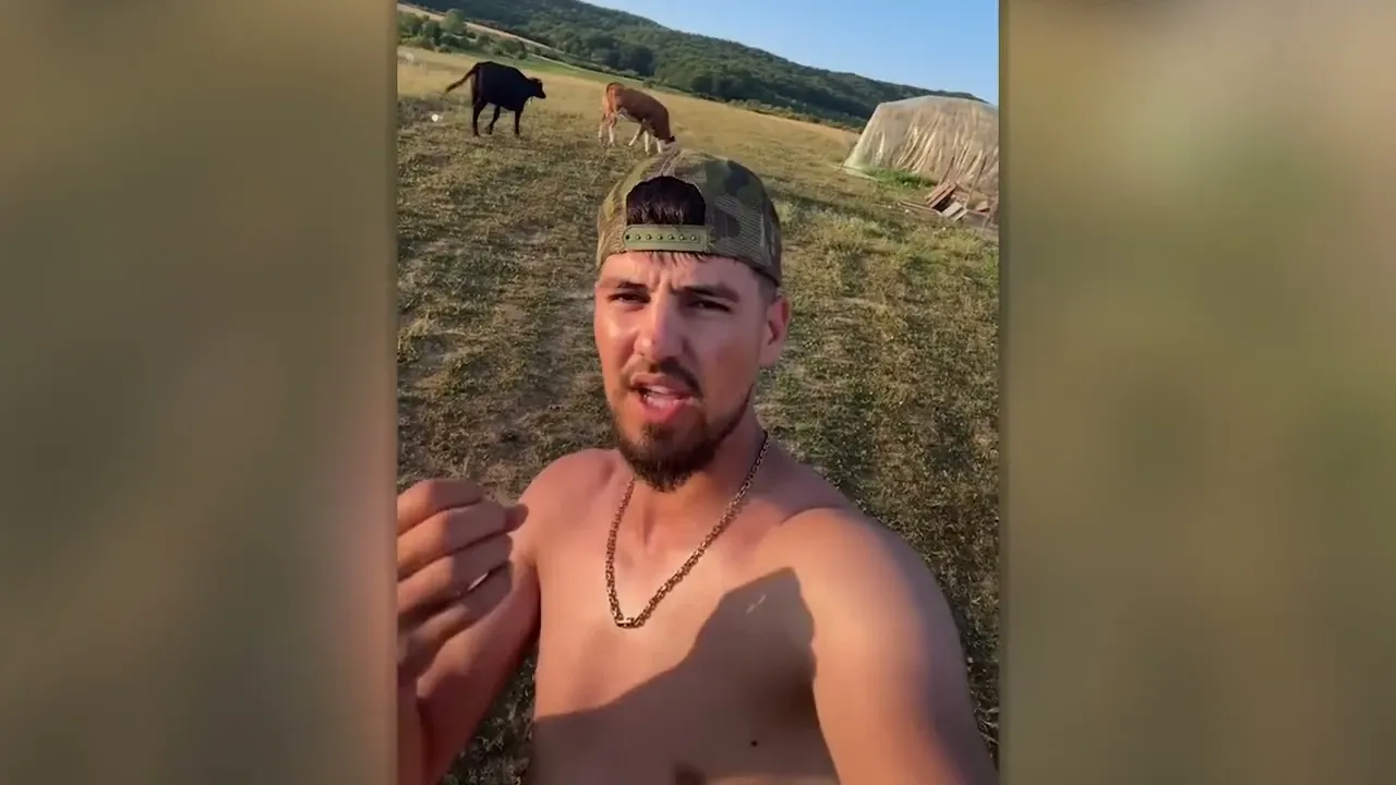 Strigătul unui tânăr fermier: „Vai de noi unde am ajuns”. Laptele pleacă ieftin din fermă și ajunge la prețuri uriașe pe raft