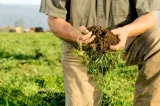 Ultimatum dat liderilor politici de reprezentanții mediului agricol, reuniți la Neptun: Învestirea unui guvern stabil în 20 de zile sau alegeri anticipate