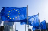 Curtea de Conturi Europeană: transparența fondurilor post-pandemie ale UE este insuficientă