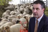 Tanczos Barna, avertisment după discuțiile cu fermierii: „Agricultura nu mai poate supraviețui la aceste prețuri”