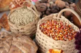 Prețurile porumbului și grâului ating maximele ultimilor ani. Ce se întâmplă pe piața cerealelor