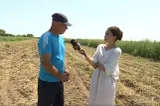 Fermierii sunt la capătul puterilor. Seceta și nepăsarea autorităților le-au ruinat toată munca. Un reportaj marca Realitatea Plus