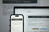 Defecțiune cibernetică de proporții: Olanda, Franța, Danemarca și Finlanda și-au închis site-uri guvernamentale