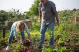 UE propune un ajutor de 540 de milioane de euro pentru fermierii afectați de criza îngrășămintelor