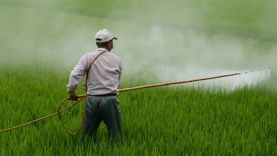 Pesticide