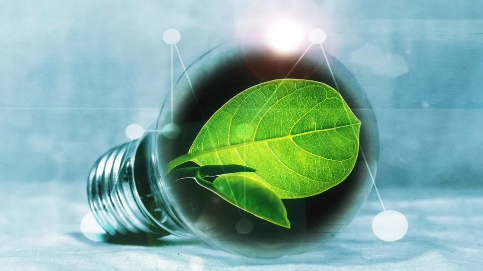 Energie verde