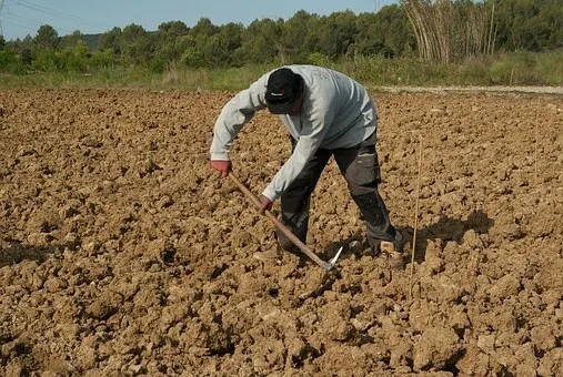 femier, muncitor agricol, zilier