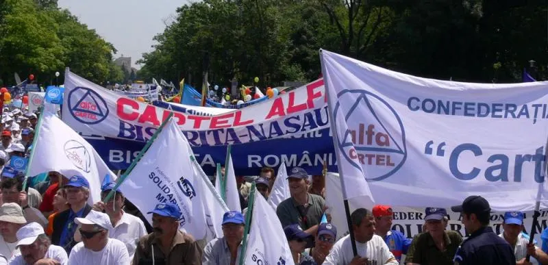 cartel-alfa