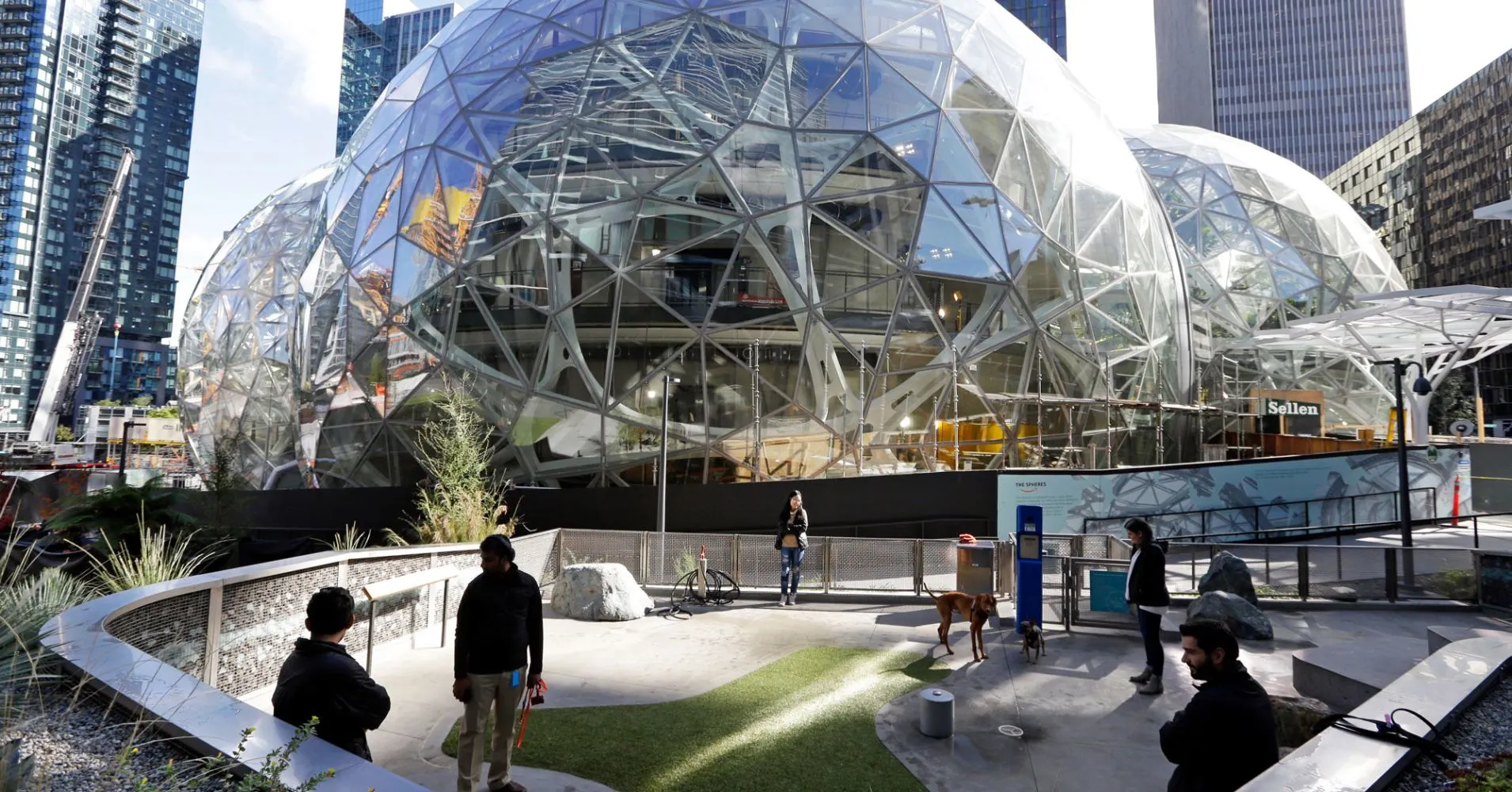 amazon