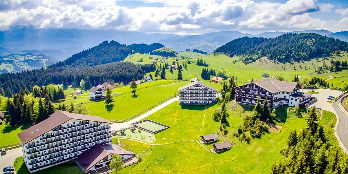 share