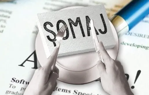 somaj-515x330