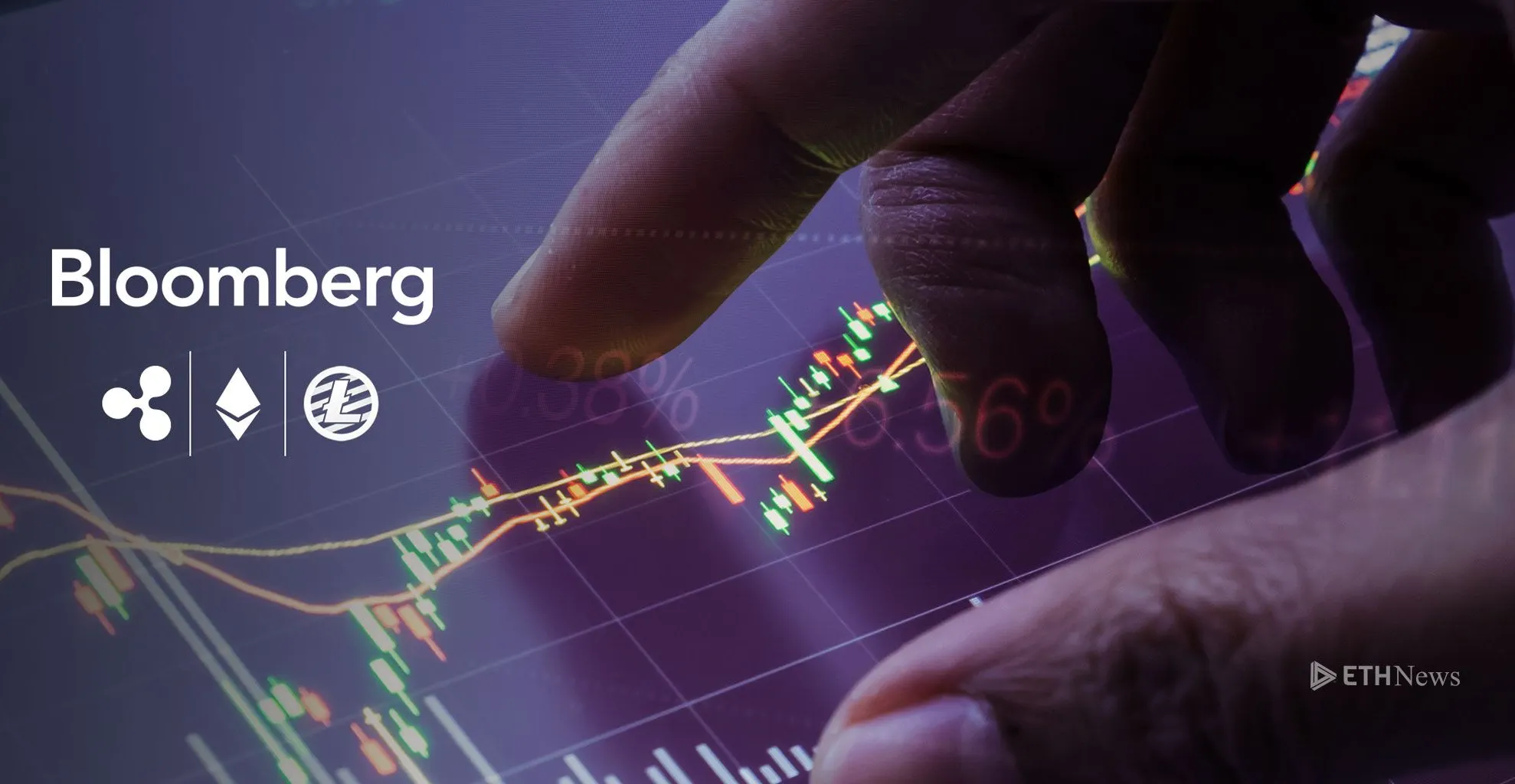 bloomberg