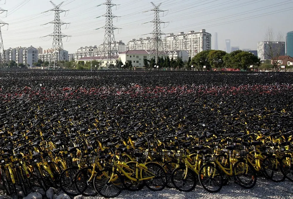 biciclete china