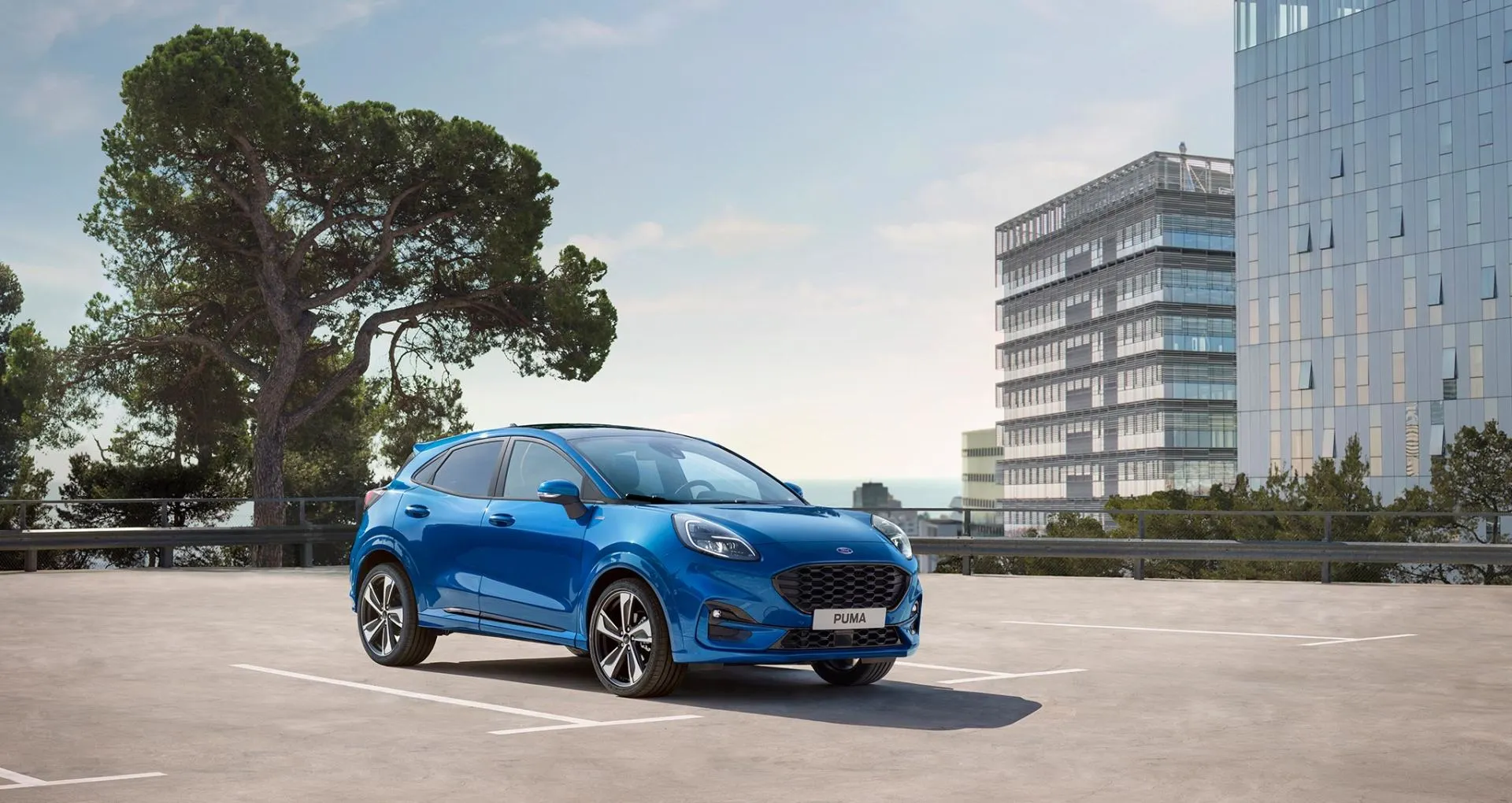 ford puma mare